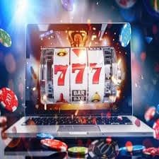 jelly life